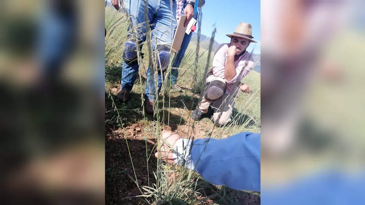 Rancho experimental la campana